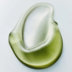 Phyto Brew Matcha Ampoule