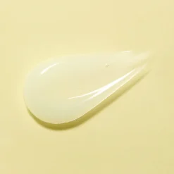 SOLID-IN Ceramide All Day Essence